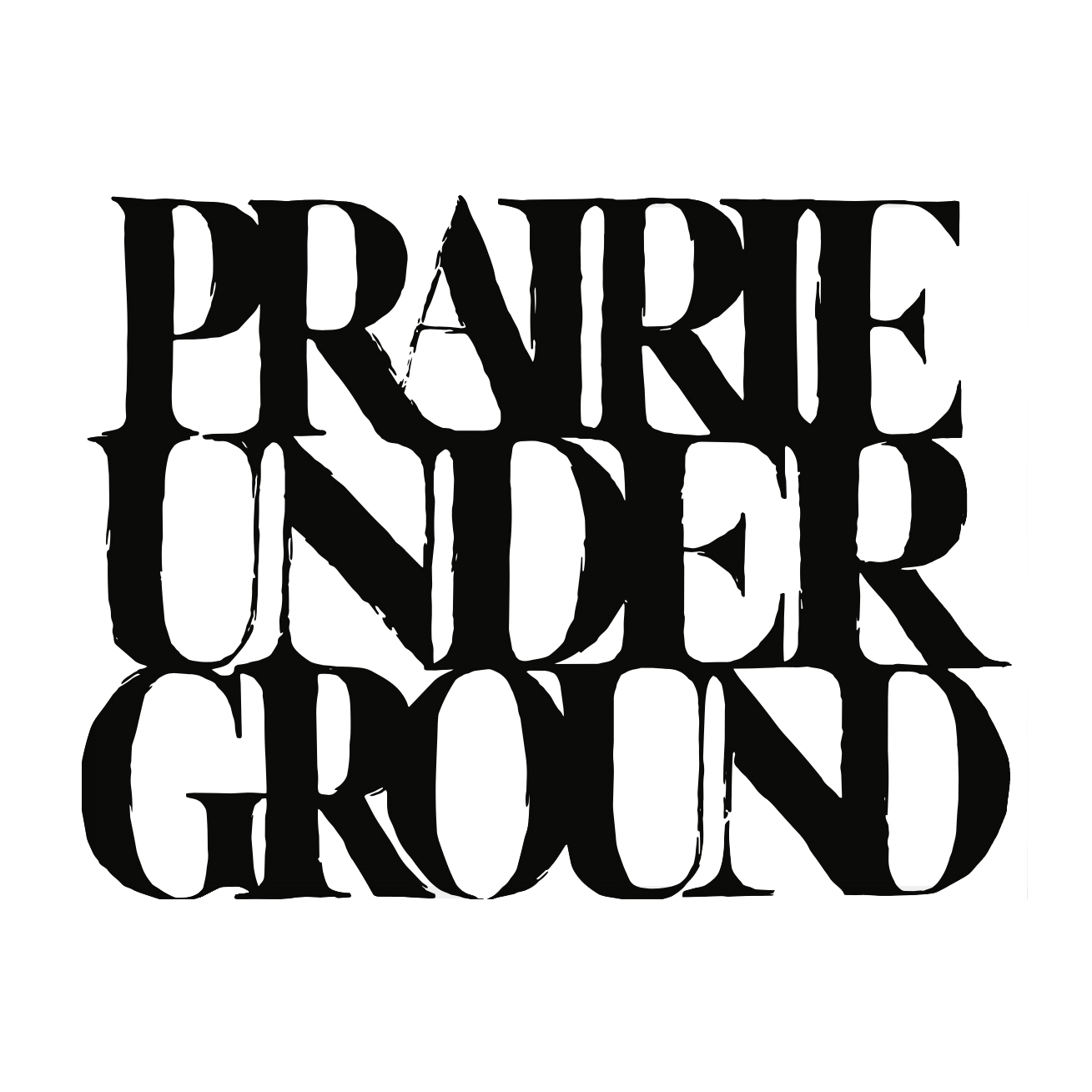 Prairie underground shop warsaw skirt